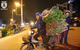 Chợ hoa Quảng Bá sôi động trước ngày Quốc tế Phụ nữ 8-3
